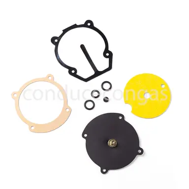 KIT REPARACION REDUCTOR MOTORGAS