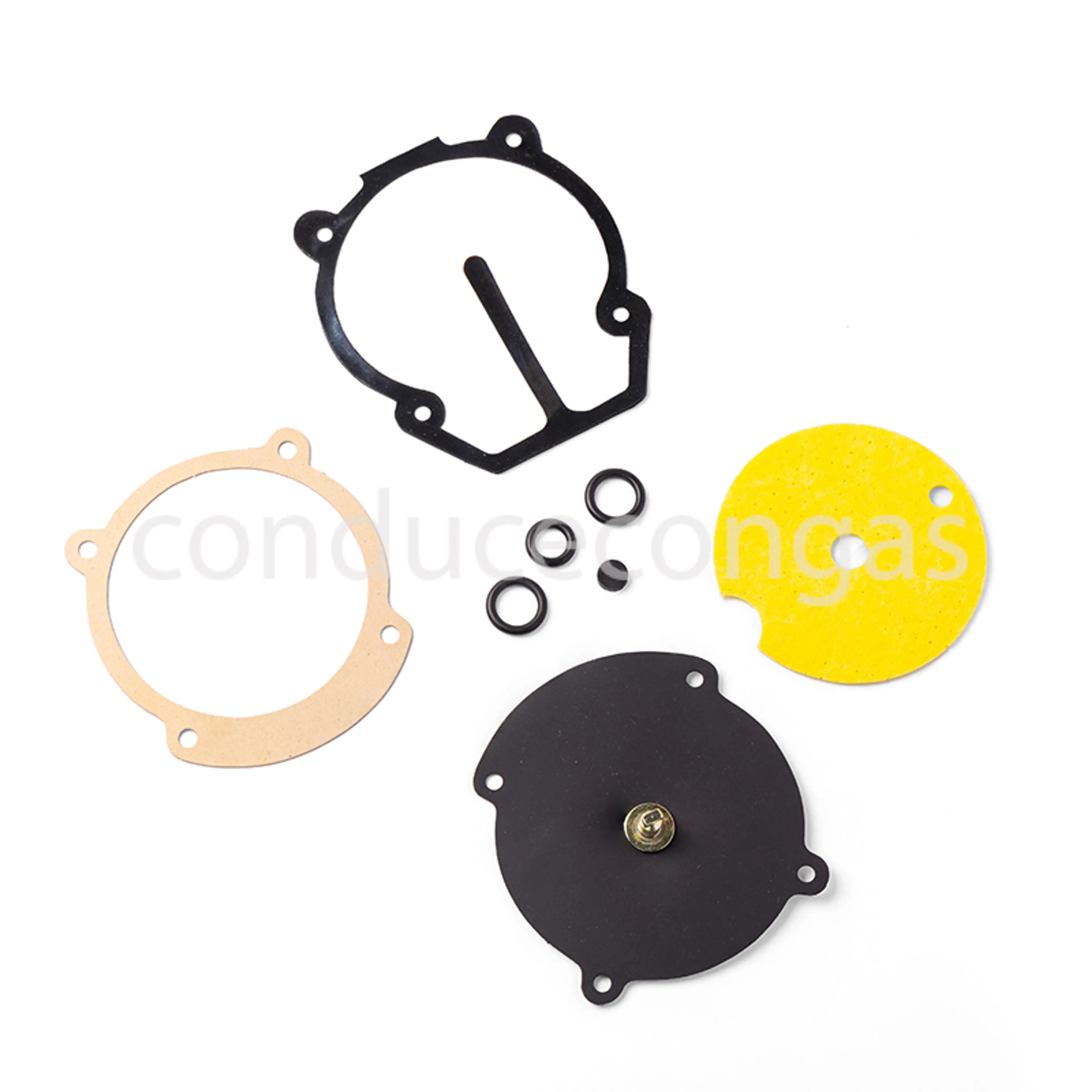 KIT REPARACION REDUCTOR MOTORGAS