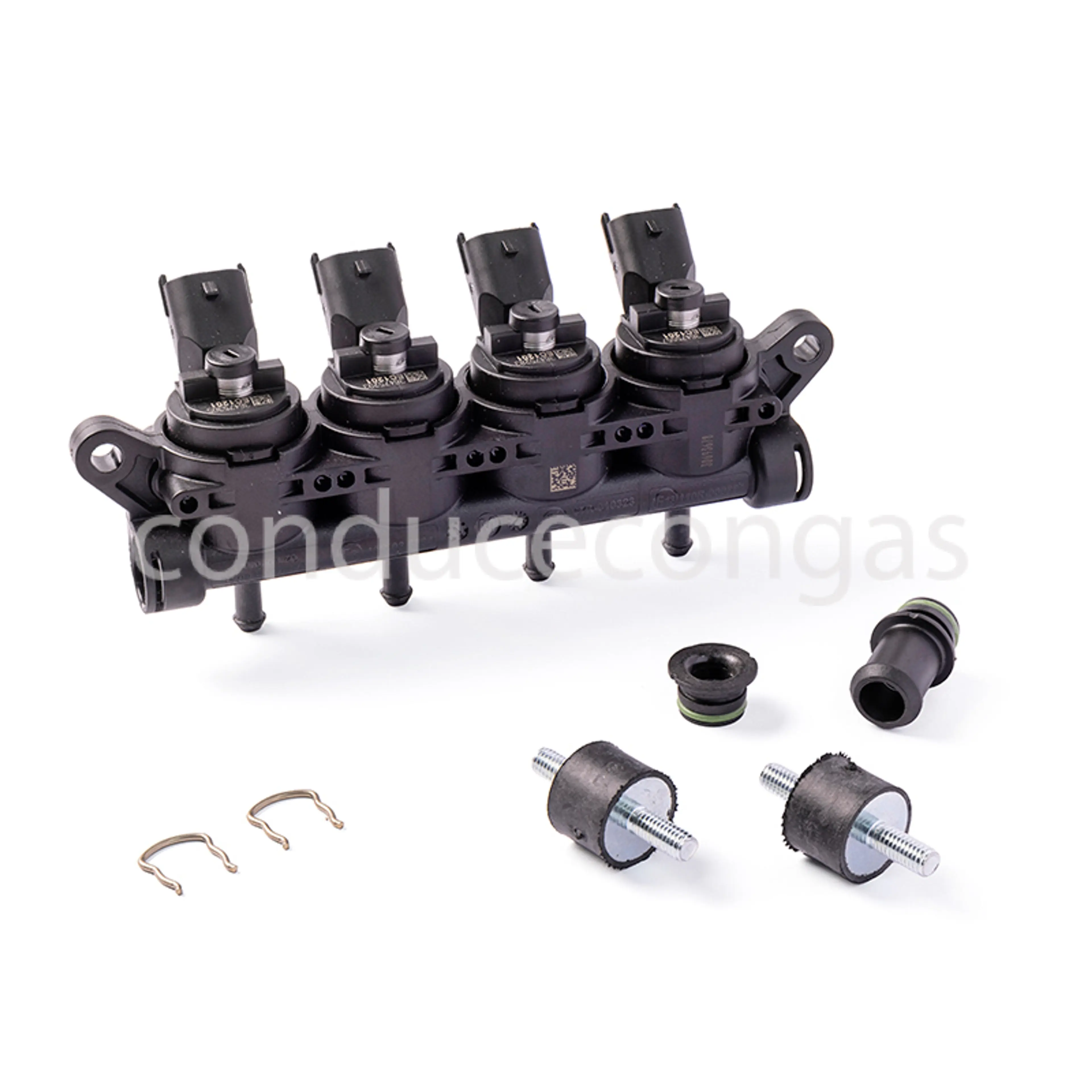 LANDI RENZO RAIL GIRS12 4 CIL. M