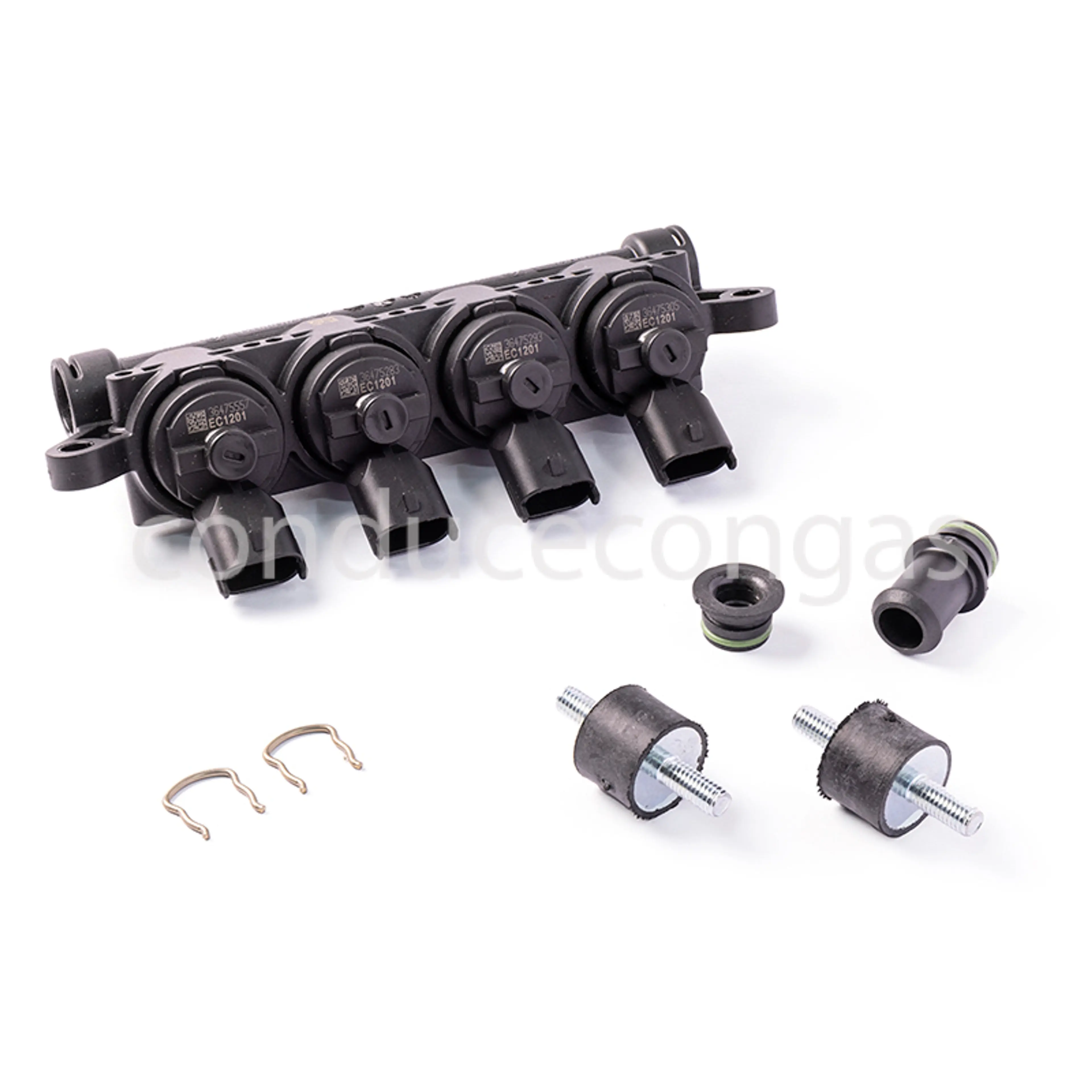 LANDI RENZO RAIL GIRS12 4 CIL. M