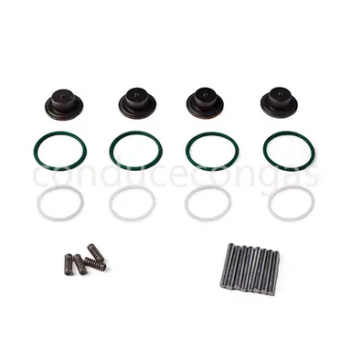 LANDI RENZO KIT REPARACION GIRS12