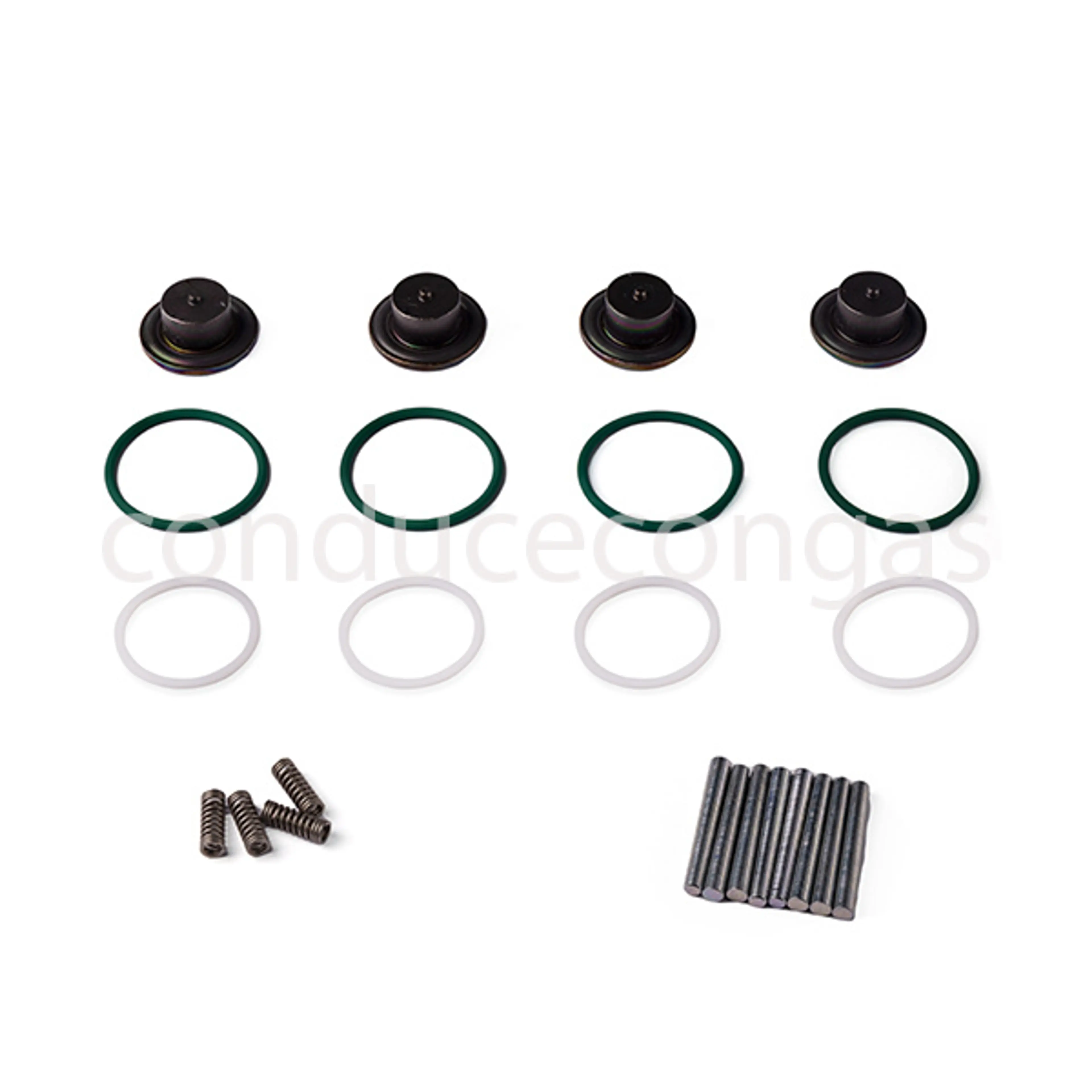 LANDI RENZO KIT REPARACION GIRS12