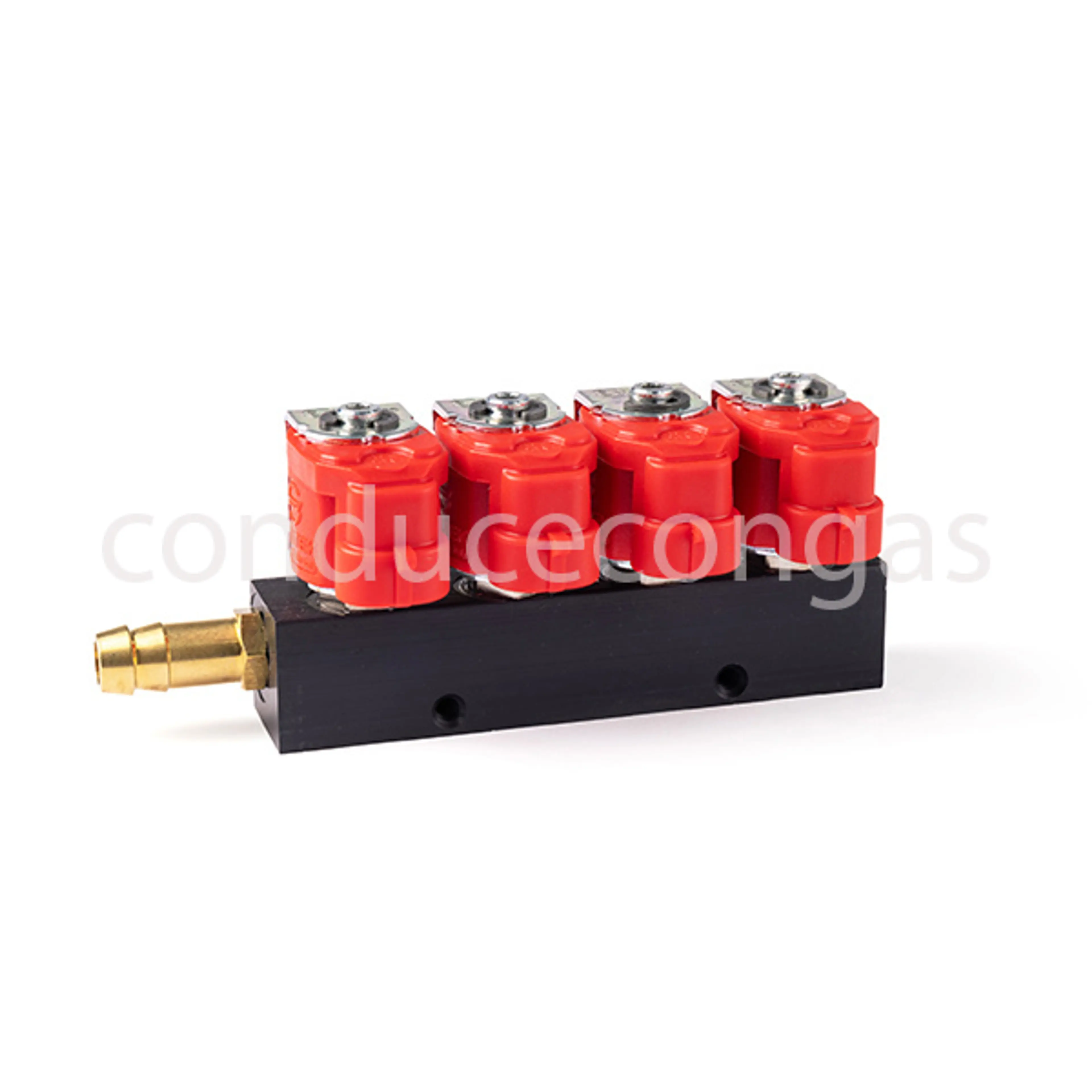 VALTEK RAIL 4 CIL. TYPE 30 3 OHM